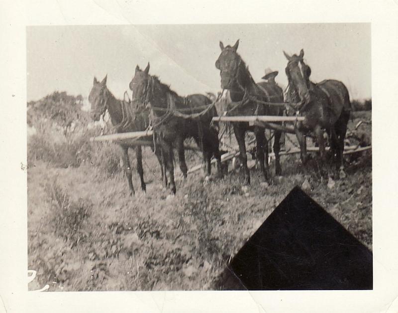 Pinkney and team.jpg